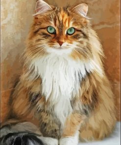 Fluffy Blonde Cat Paint By Number