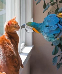 Orange Cat With Colorful Parrot Paint By Number