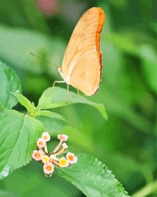 Peach Butterfly On Leaf Paint By Number