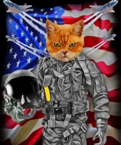 Pilot Cat Paint By Number