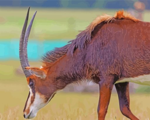 Sable Antelope Paint By Number