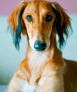 Saluki Dog Face Paint By Number