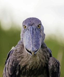 Shoebill Face Paint By Number