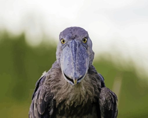 Shoebill Face Paint By Number