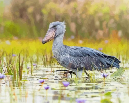 Shoebill In Water Paint By Number