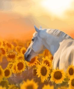 Stallion Horse In Sunflowers Paint By Number