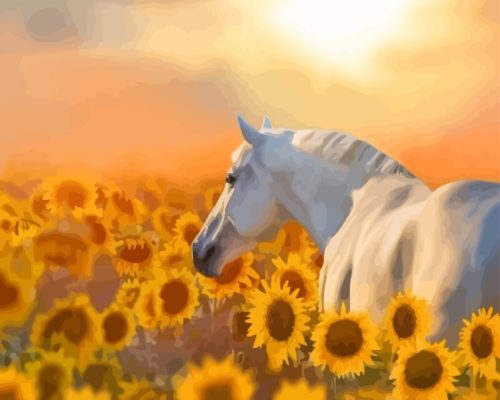 Stallion Horse In Sunflowers Paint By Number