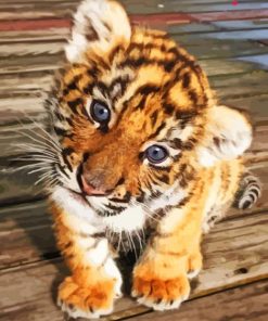 Sweet Baby Face Tiger Paint By Number