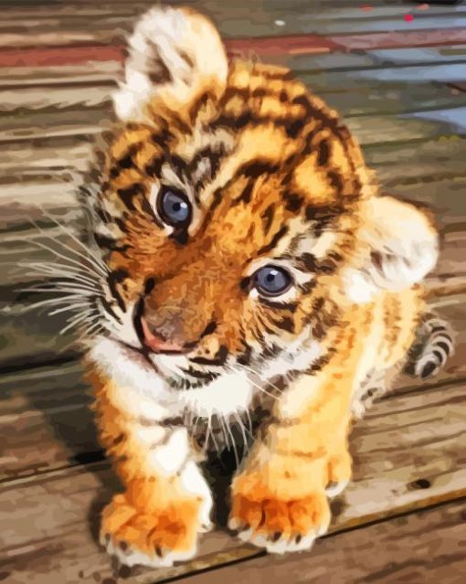 Sweet Baby Face Tiger Paint By Number