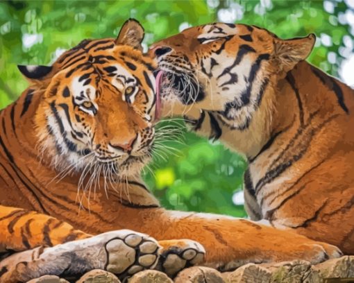 Tigers In Love Paint By Number