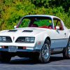 White 1977 Firebird Paint By Number