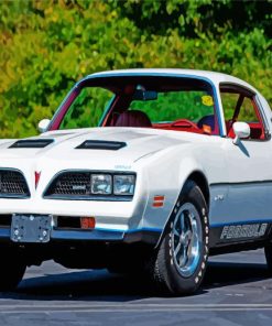 White 1977 Firebird Paint By Number