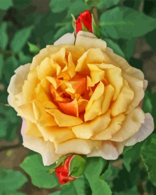 Yellow Fairy Tale Rose Paint By Number