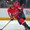 Alexander Ovechkin Paint By Numbers