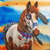 American Indian Pony Paint By Number