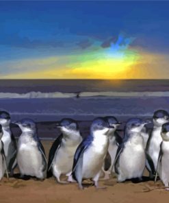 Australian Fairy Penguin Paint By Number