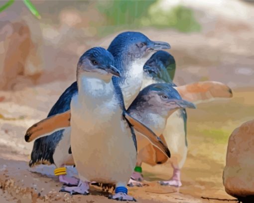 Australian Fairy Penguins Paint By Number