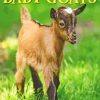 Baby Goat Poster Paint By Number