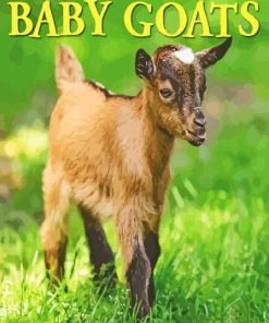 Baby Goat Poster Paint By Number