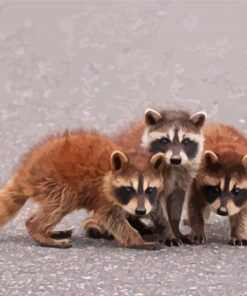 Baby Raccoons Paint By Numbers