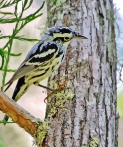 Bird On Tree Paint By Number