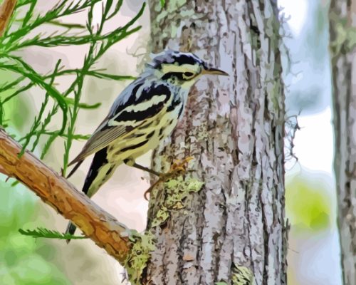 Bird On Tree Paint By Number