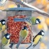 Birds At Bird Feeder Paint By Numbers