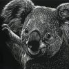 Black And White Koala Paint By Numbers