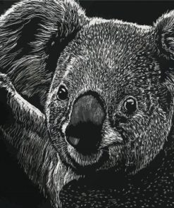 Black And White Koala Paint By Numbers