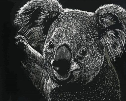 Black And White Koala Paint By Numbers