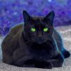 Black Cat With Green Eyes Paint By Number