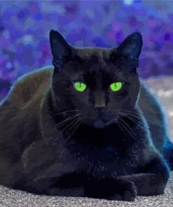 Black Cat With Green Eyes Paint By Number