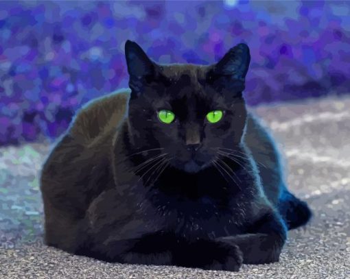 Black Cat With Green Eyes Paint By Number