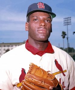 Bob Gibson Paint By Numbers