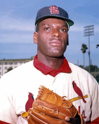 Bob Gibson Paint By Numbers