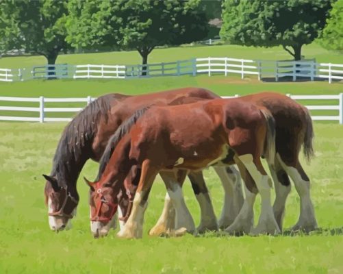 Brown Clydesdales Paint By Number