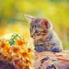 Cat And Yellow Flowers Paint By Number