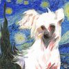 Chinese Crested Dog Paint By Numbers