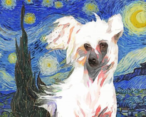 Chinese Crested Dog Paint By Numbers