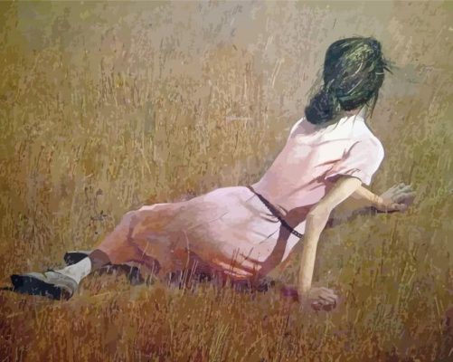 Christina Andrew Wyeth Paint By Numbers