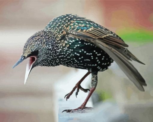 Close Up Starling Paint By Number