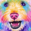 Colourful Westie Paint By Number