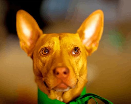 Cute Pharaoh Hound Paint By Numbers