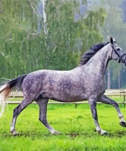 Dark Grey Horse Paint By Number