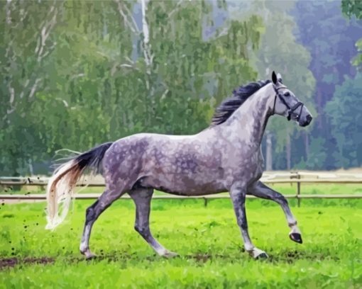 Dark Grey Horse Paint By Number