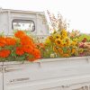 Flowers In Back Of Truck Paint By Numbers