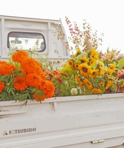 Flowers In Back Of Truck Paint By Numbers