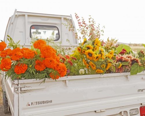 Flowers In Back Of Truck Paint By Numbers