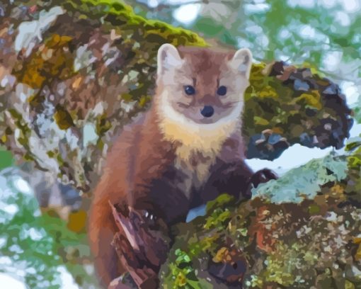 Pine Marten Paint By Number