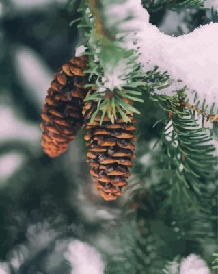 Pinecone In Snowy Tree Paint By Number